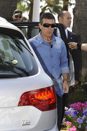 myaudi.ge